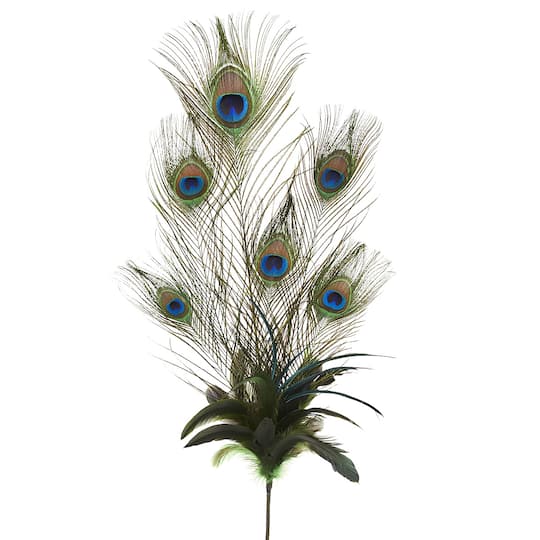12 Pack: Peacock Feather Pick by Ashland®